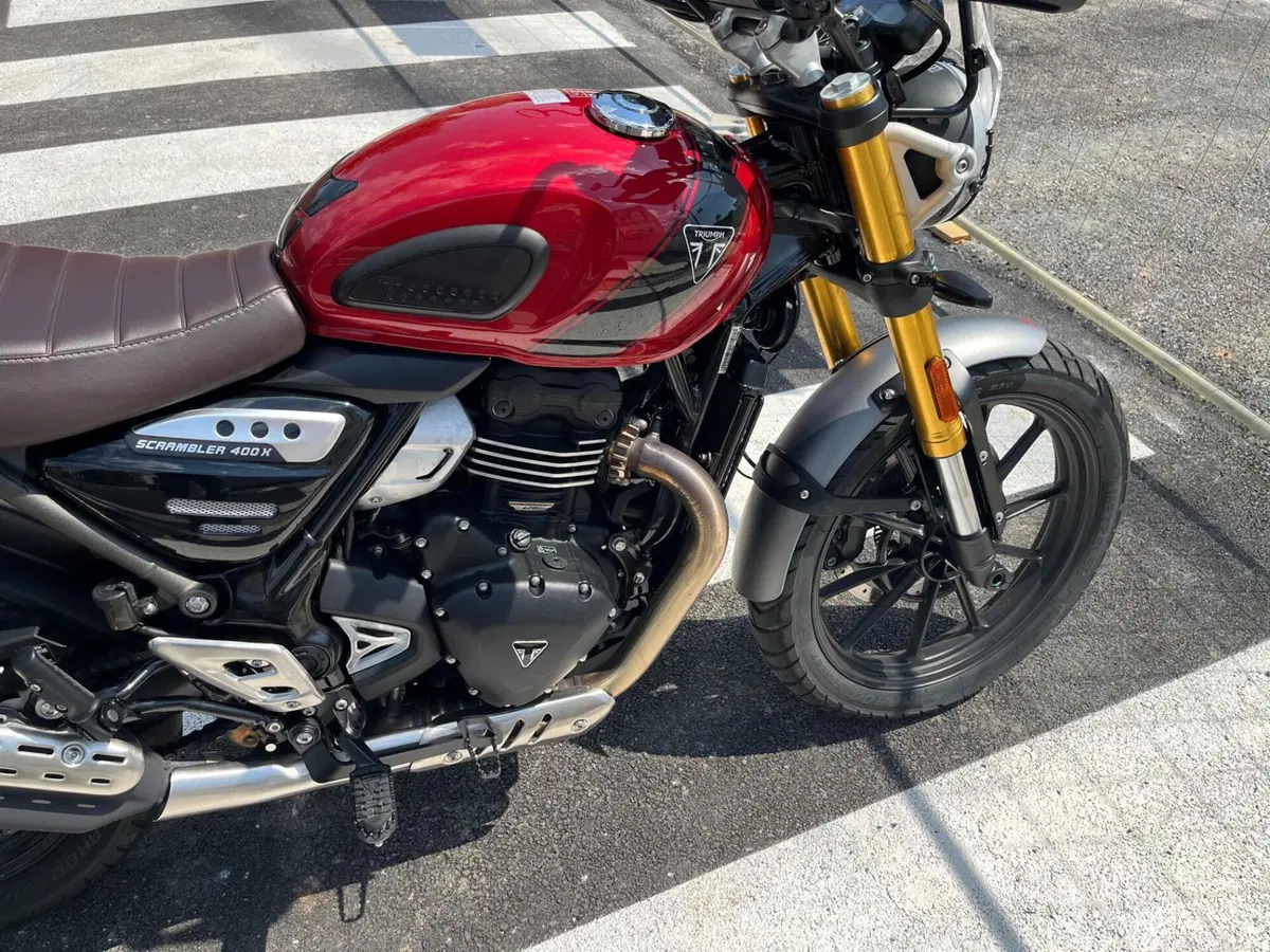Triumph Scrambler 400 X (2024 - 26) (8)