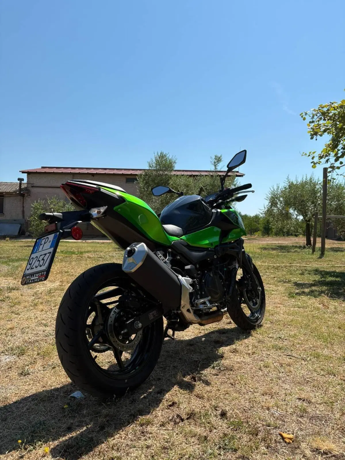 Kawasaki Z 500 (2024 - 26) (2)