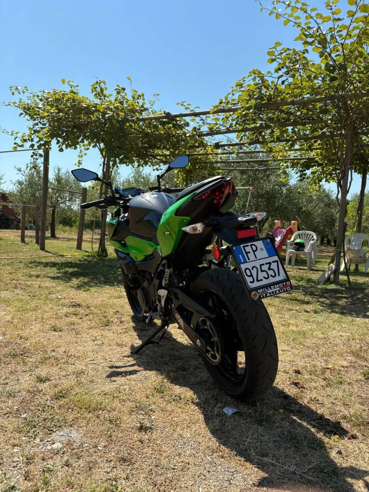 Kawasaki Z 500 (2024 - 26) (8)
