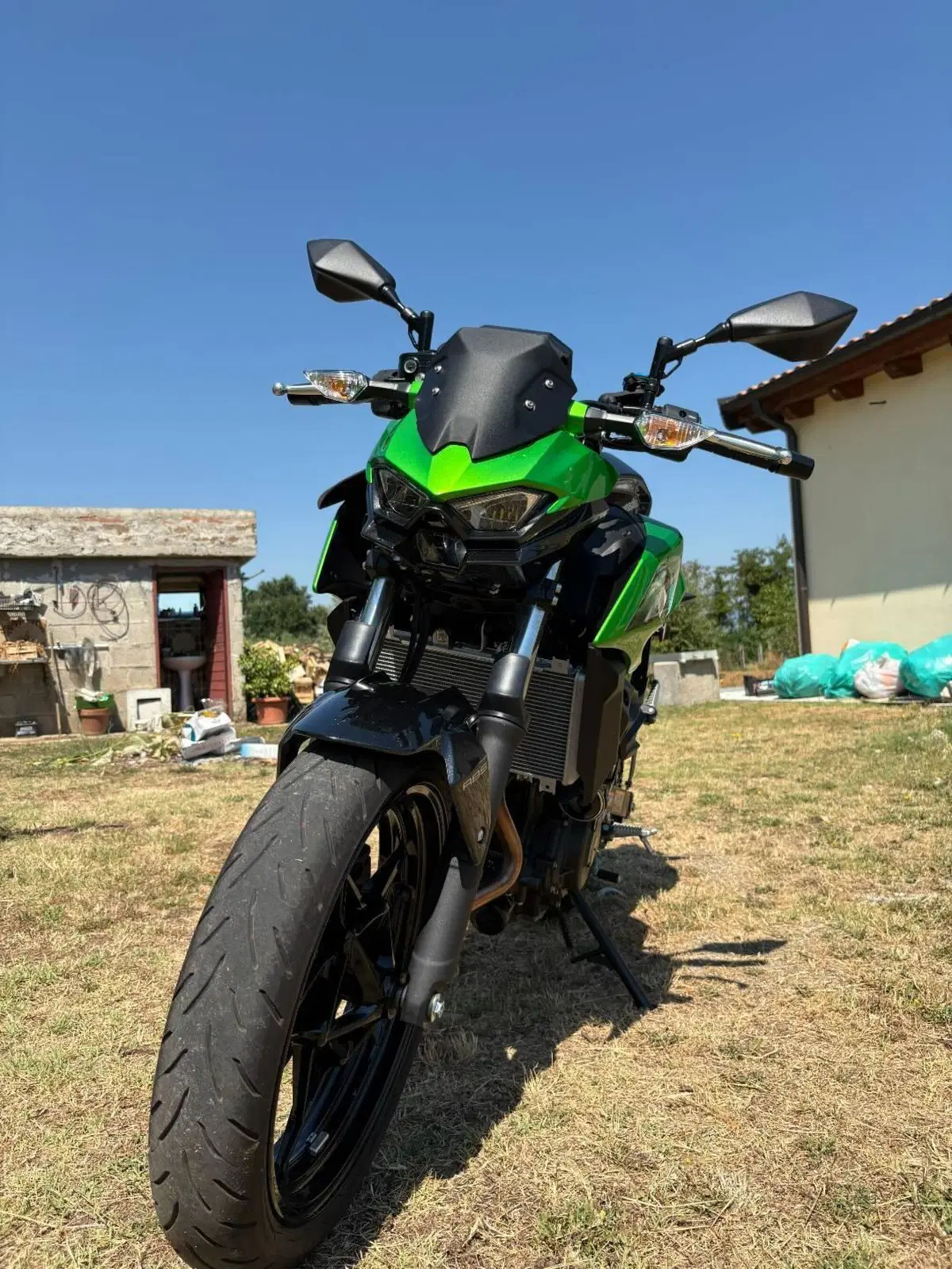 Kawasaki Z 500 (2024 - 26) (3)