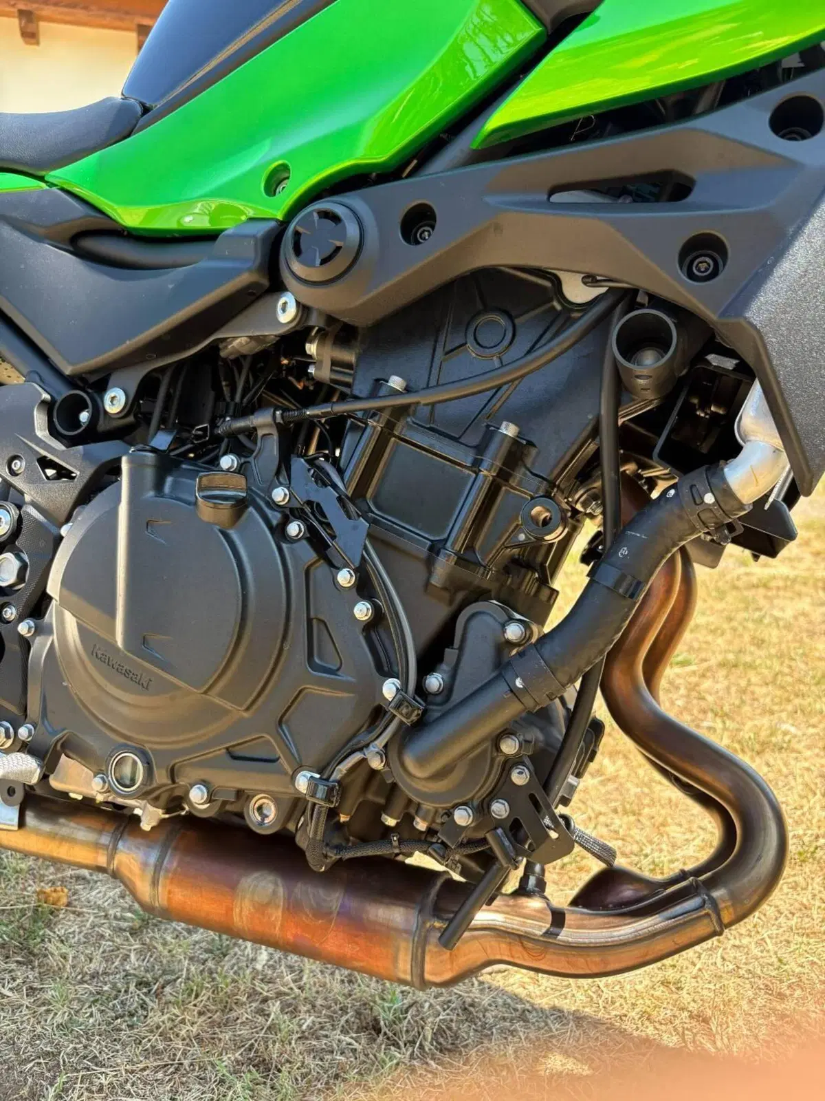 Kawasaki Z 500 (2024 - 26) (13)