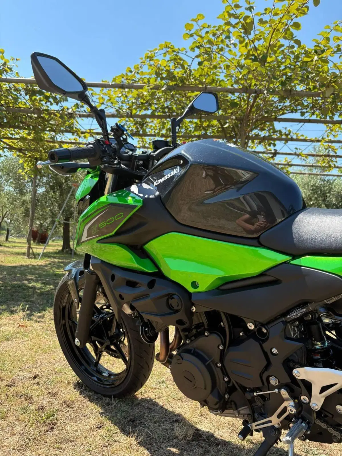 Kawasaki Z 500 (2024 - 26) (9)