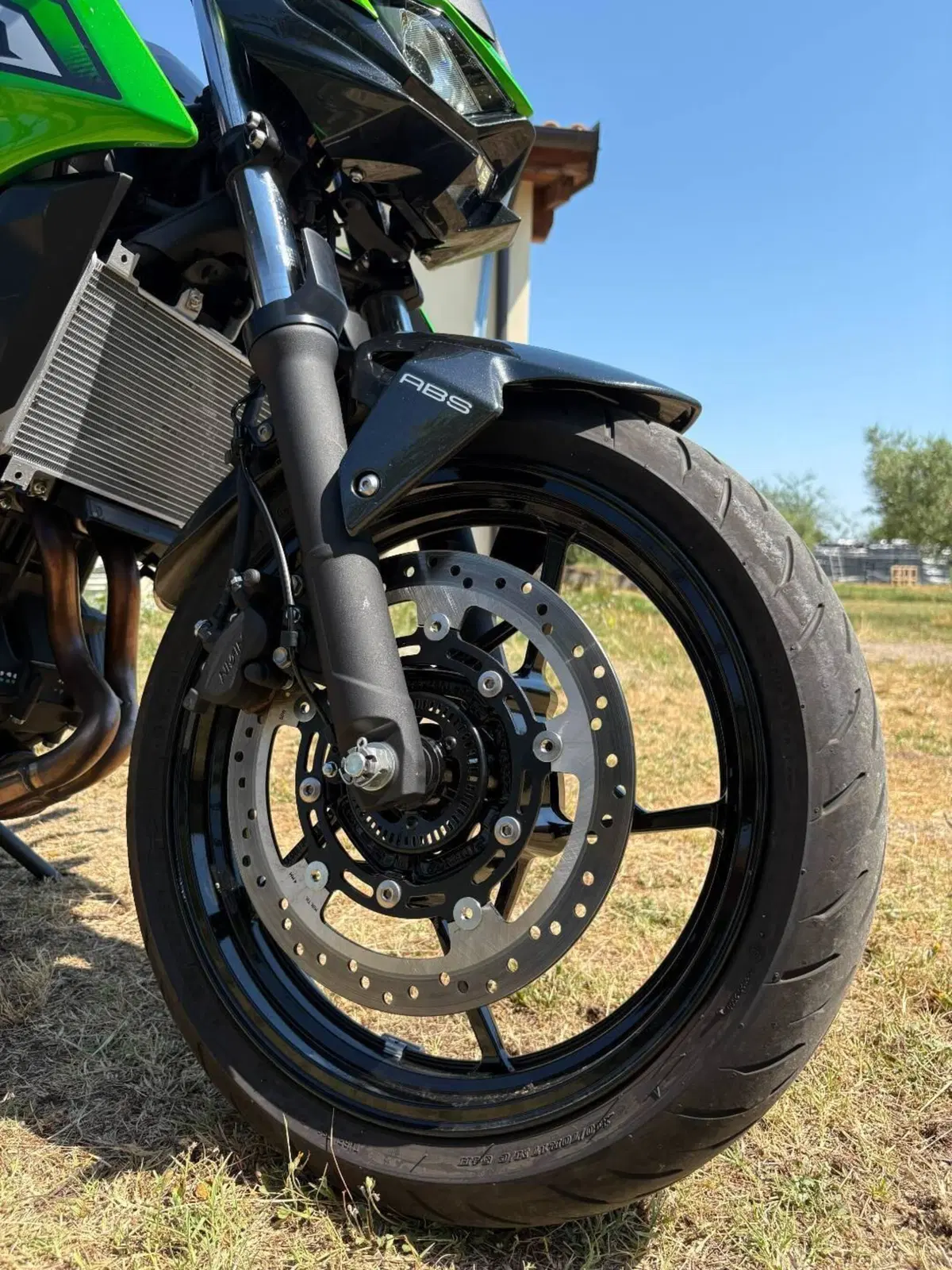 Kawasaki Z 500 (2024 - 26) (11)