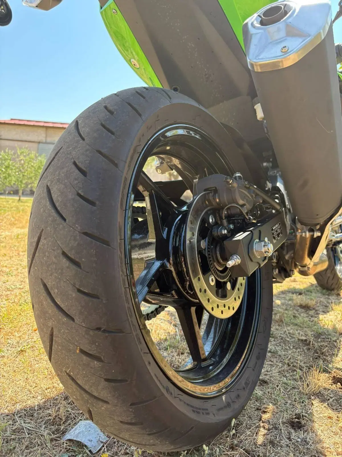 Kawasaki Z 500 (2024 - 26) (10)