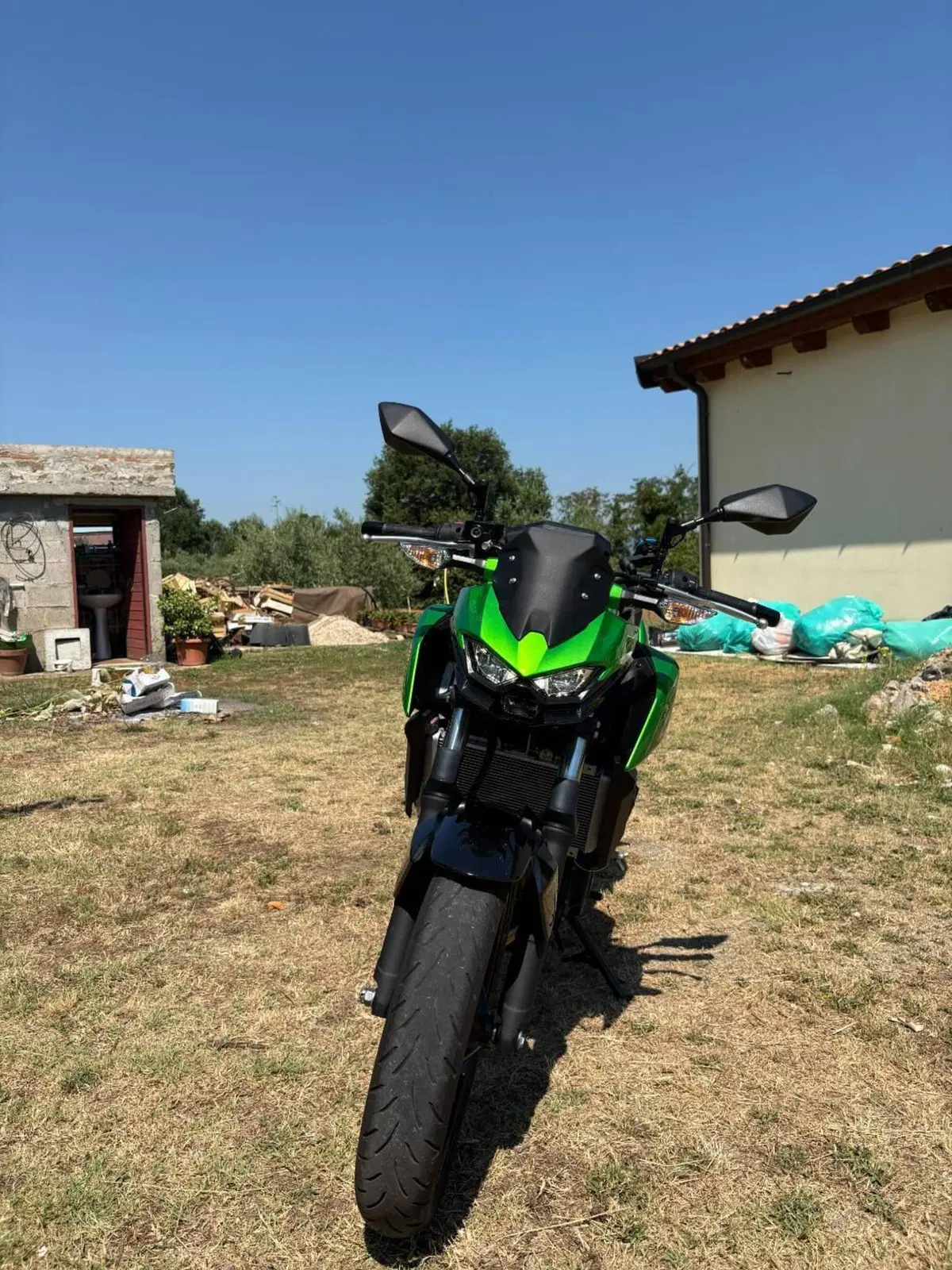 Kawasaki Z 500 (2024 - 26) (5)