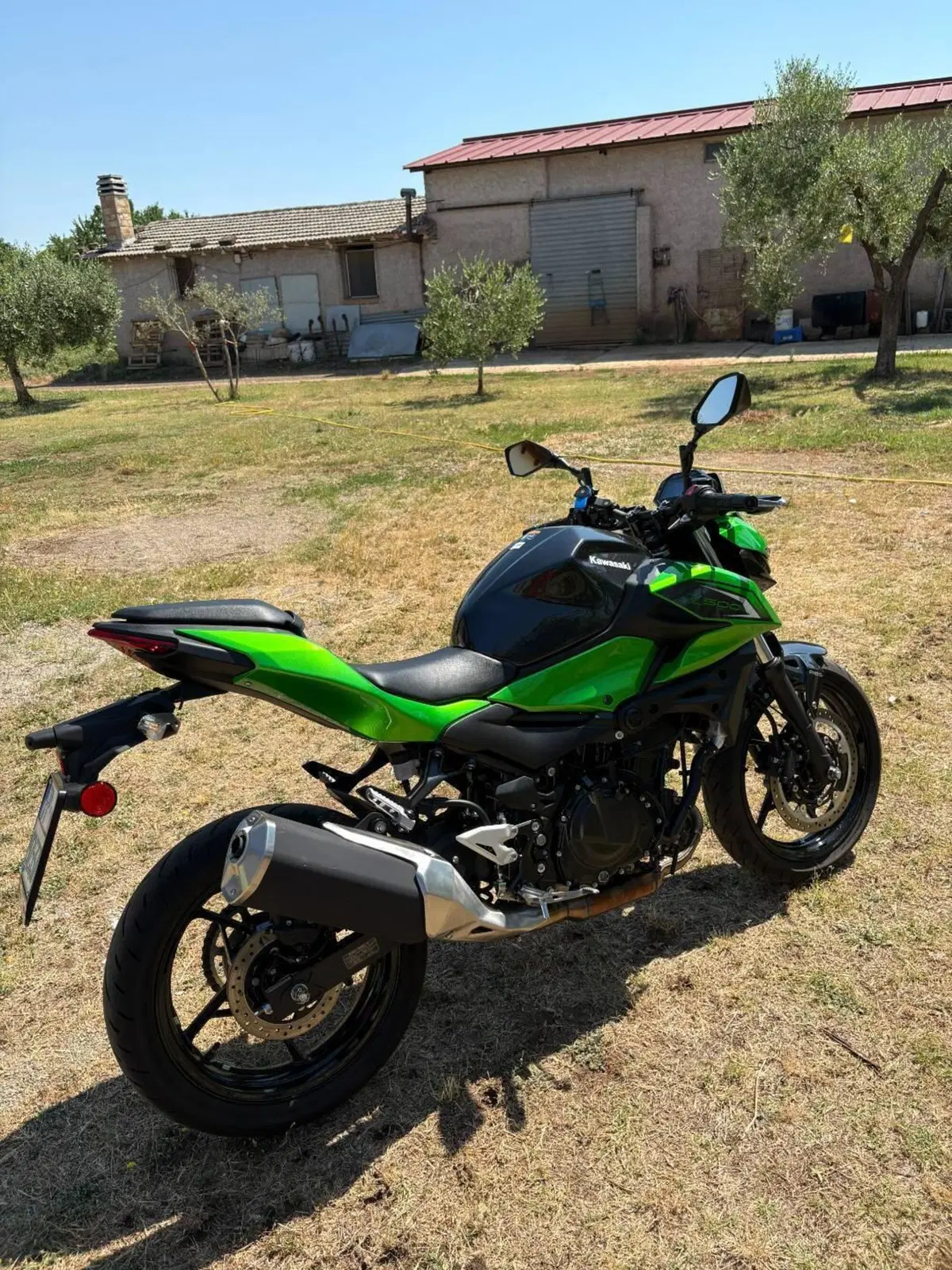 Kawasaki Z 500 (2024 - 26) (6)