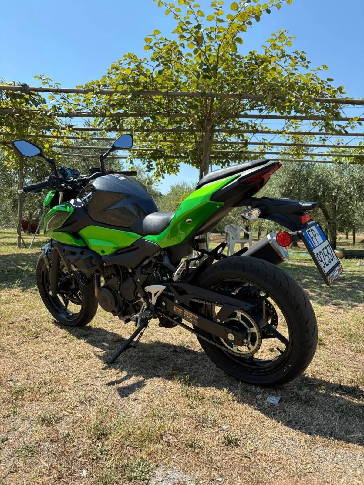 Kawasaki Z 500 (2024 - 26) (7)