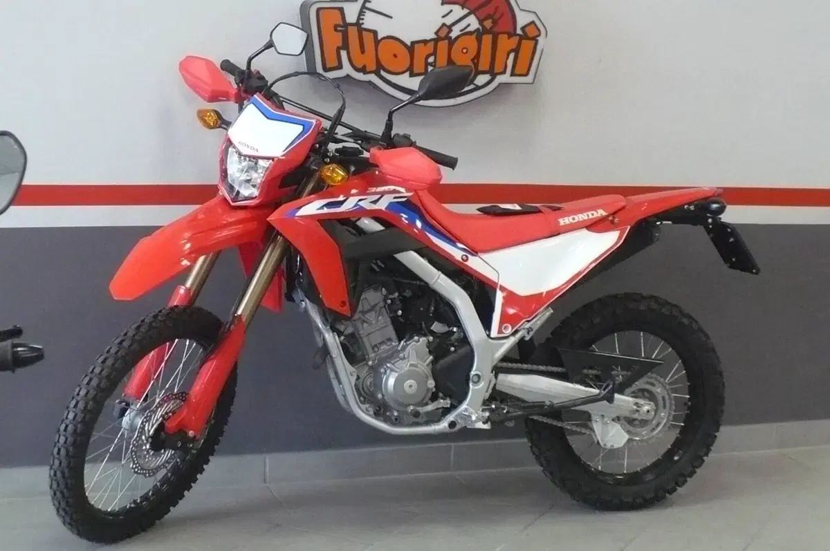 Honda CRF 300L (2021 - 24) (3)