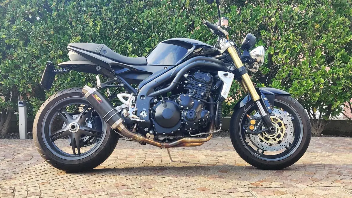 Triumph Speed Triple 1050 (2005 - 11) (2)