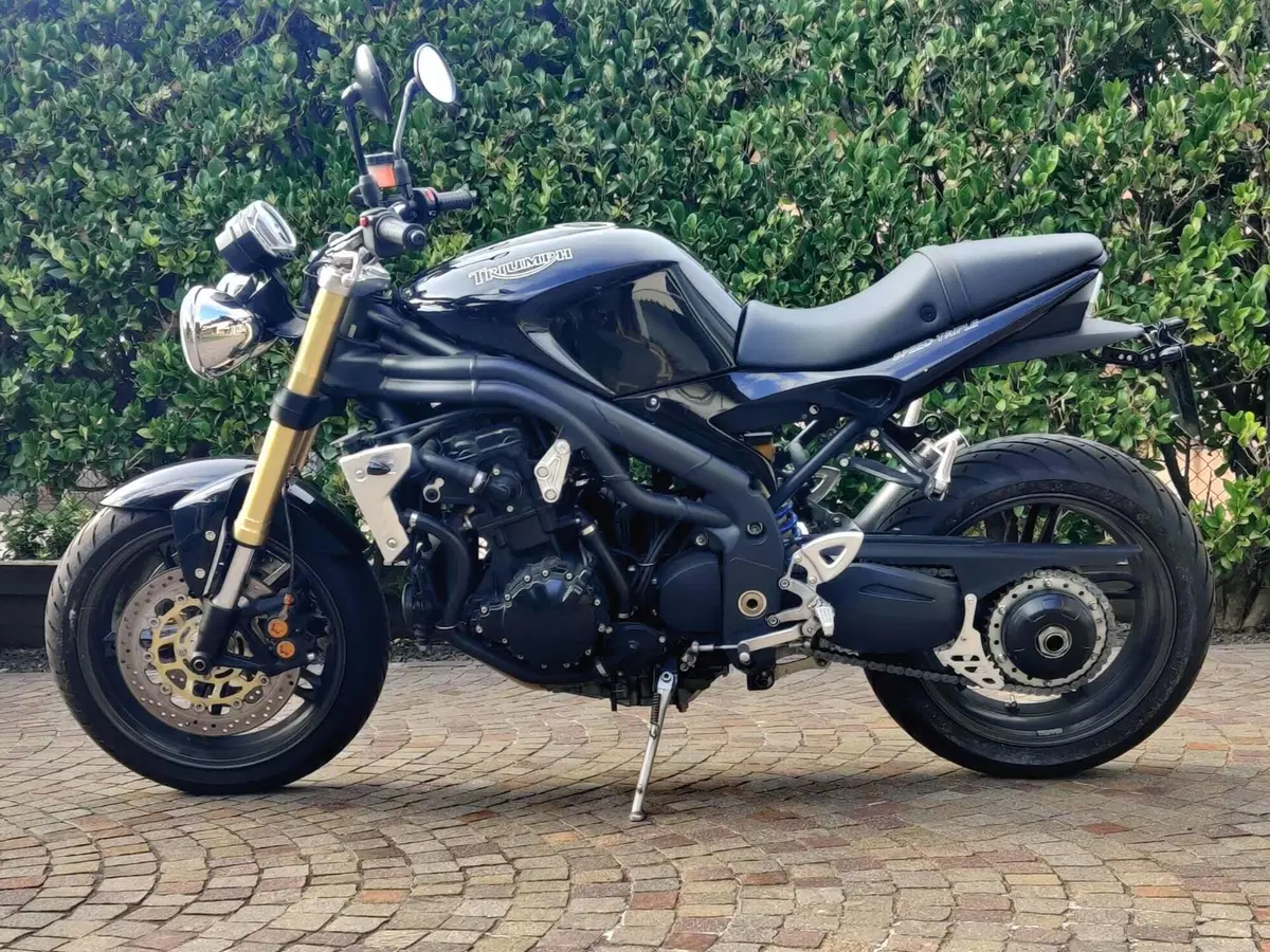 Triumph Speed Triple 1050 (2005 - 11) (3)