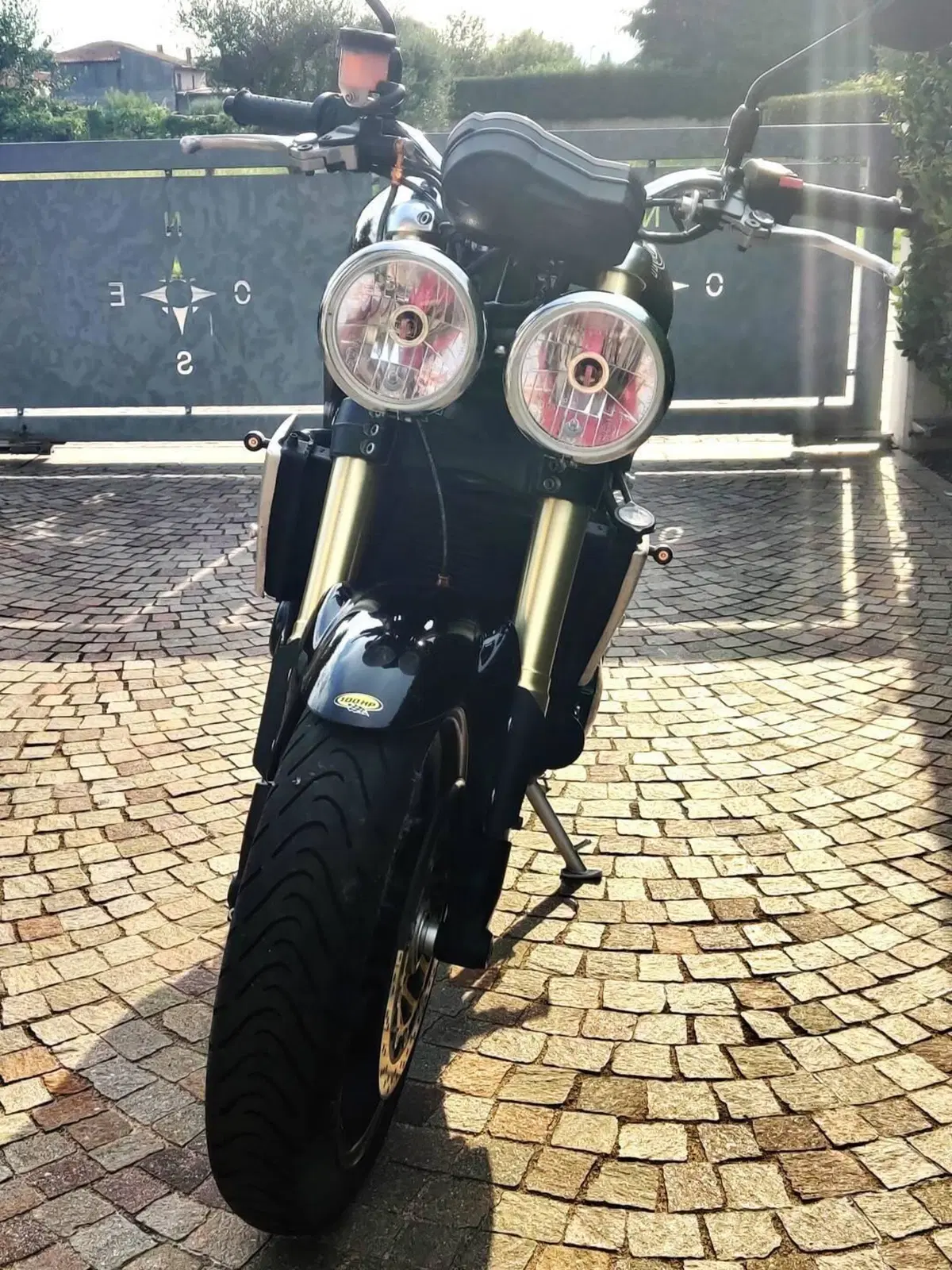 Triumph Speed Triple 1050 (2005 - 11) (4)