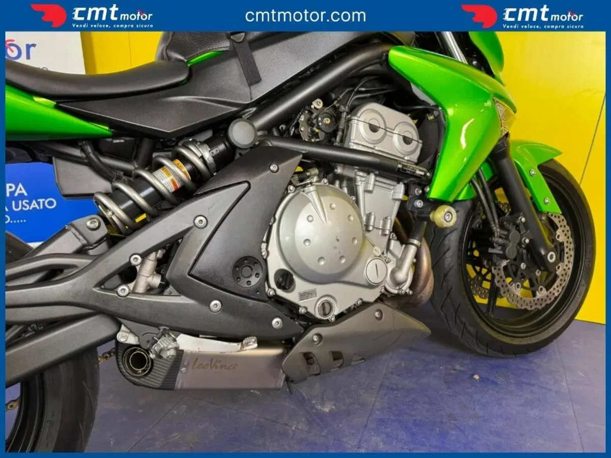 Kawasaki ER-6N (2006 - 09) (8)