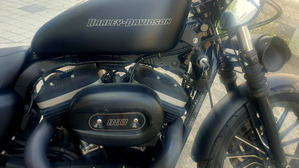 Harley-Davidson 883 Iron (2009 - 11) - XL 883N (2)