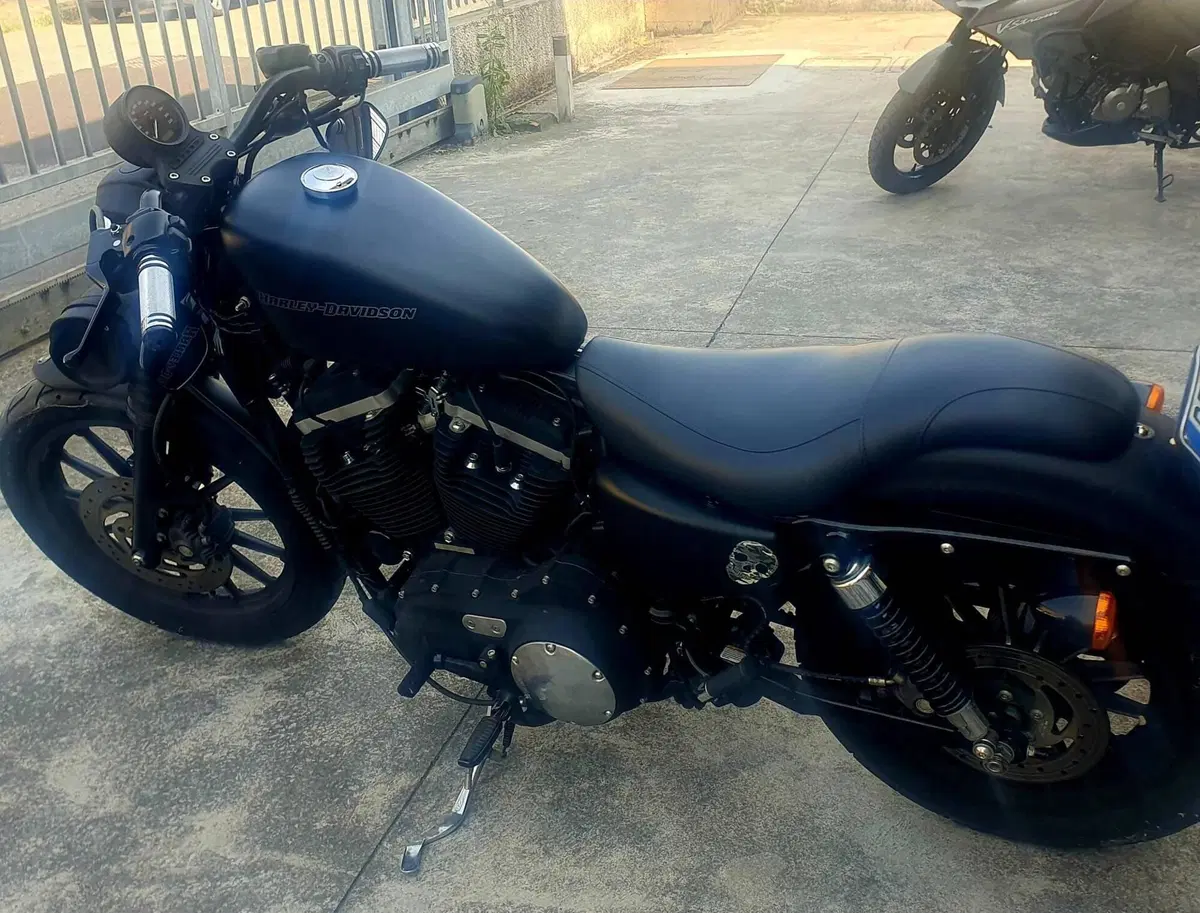 Harley-Davidson 883 Iron (2009 - 11) - XL 883N (4)