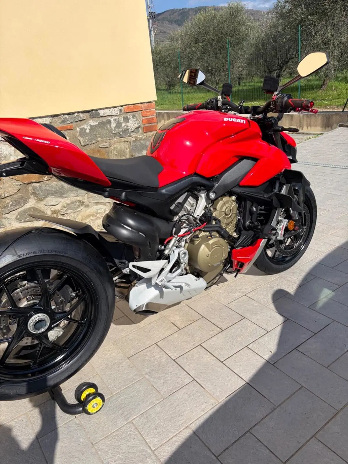 Ducati Streetfighter V4 1100 (2020) (5)