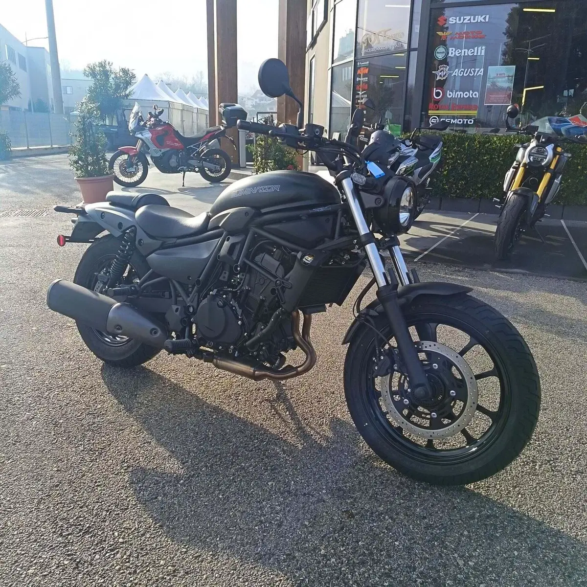 Kawasaki Eliminator 500 (2024 - 26) (5)