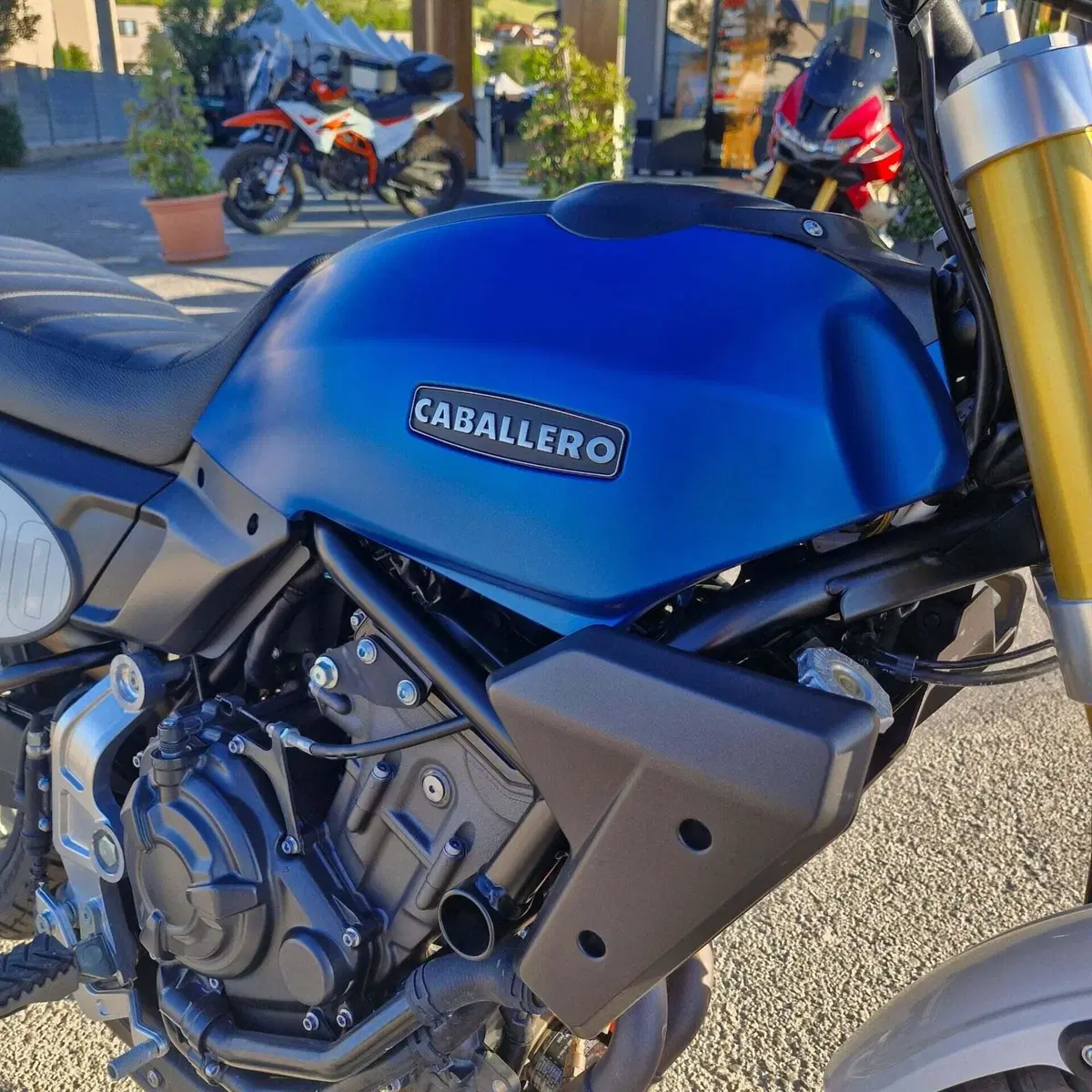 Fantic Motor Caballero 700 (2023 - 24) (8)
