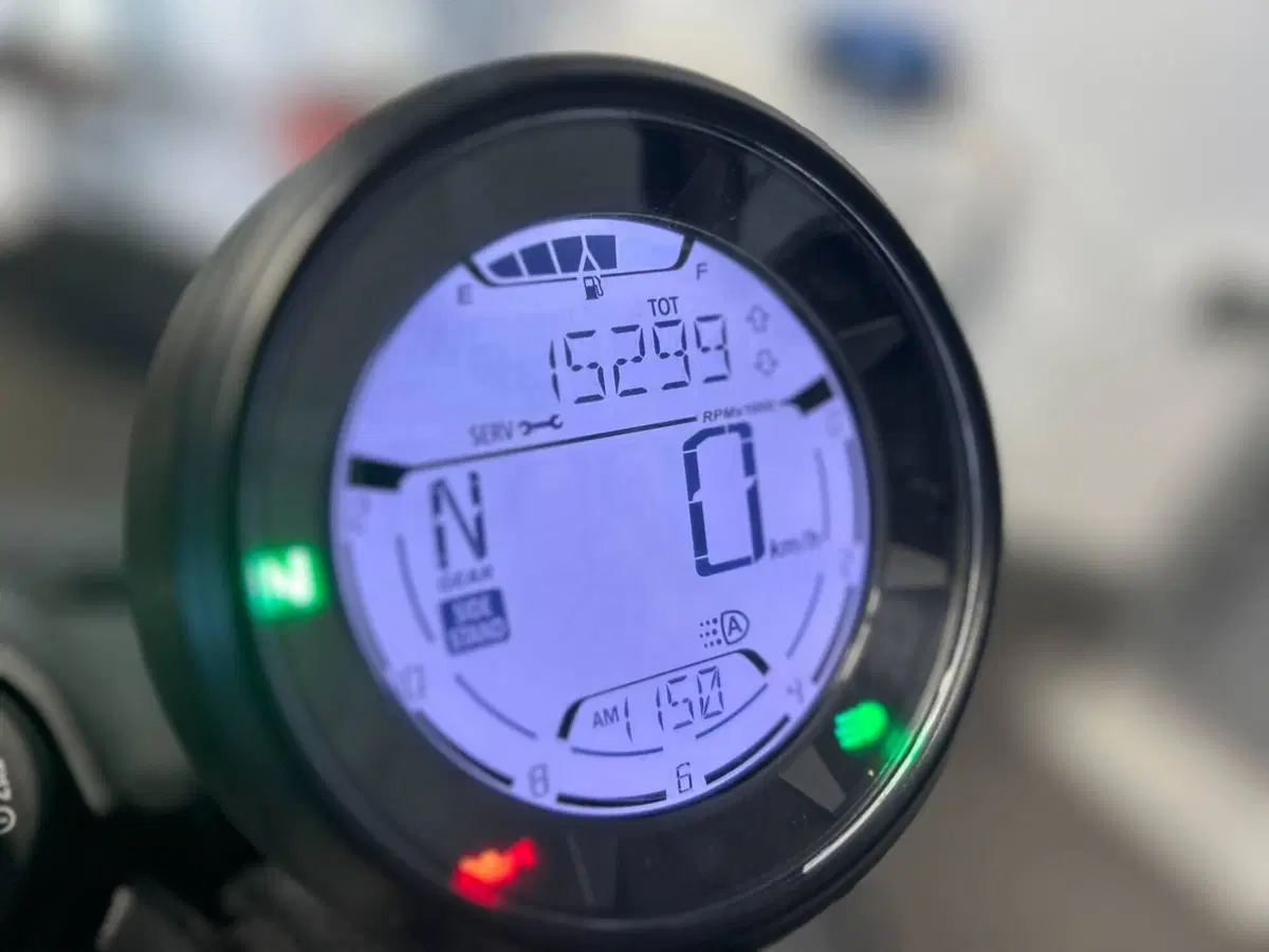 Ducati Scrambler 800 Icon (2021 - 22) (5)