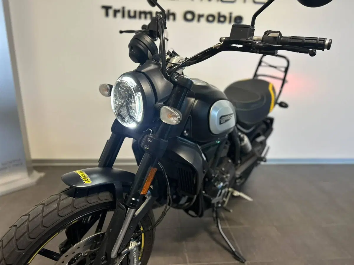 Ducati Scrambler 800 Icon (2021 - 22) (6)