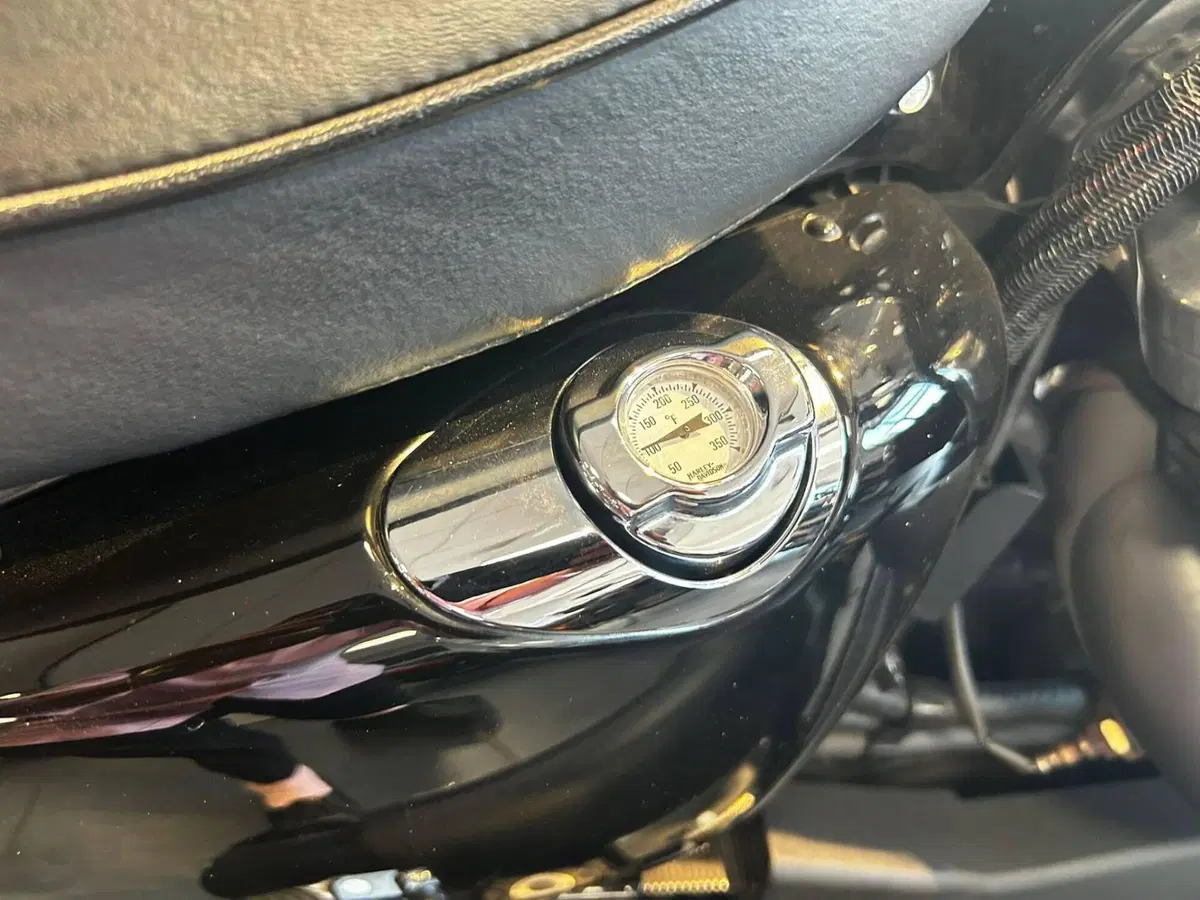 Harley-Davidson XL 1200 X Forty-Eight (2018) (3)