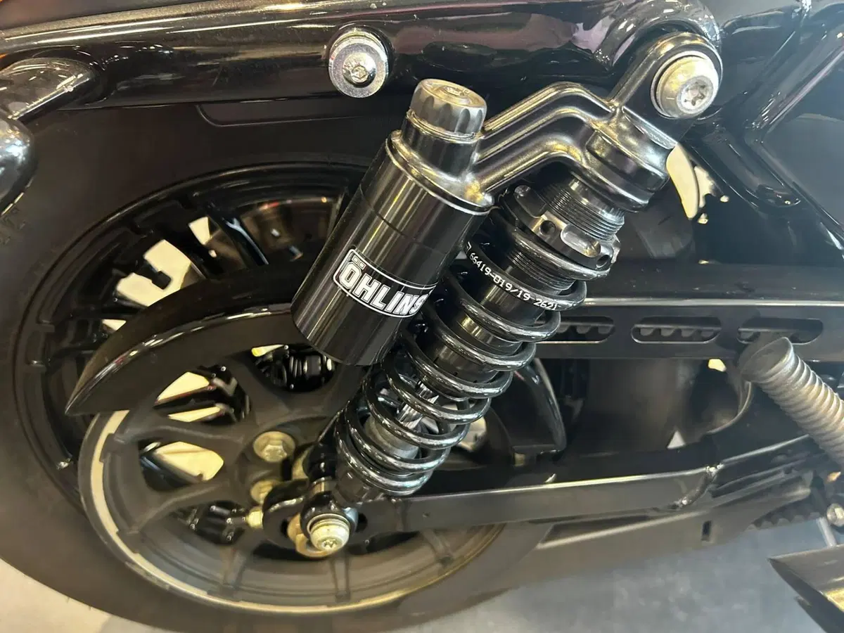 Harley-Davidson XL 1200 X Forty-Eight (2018) (4)