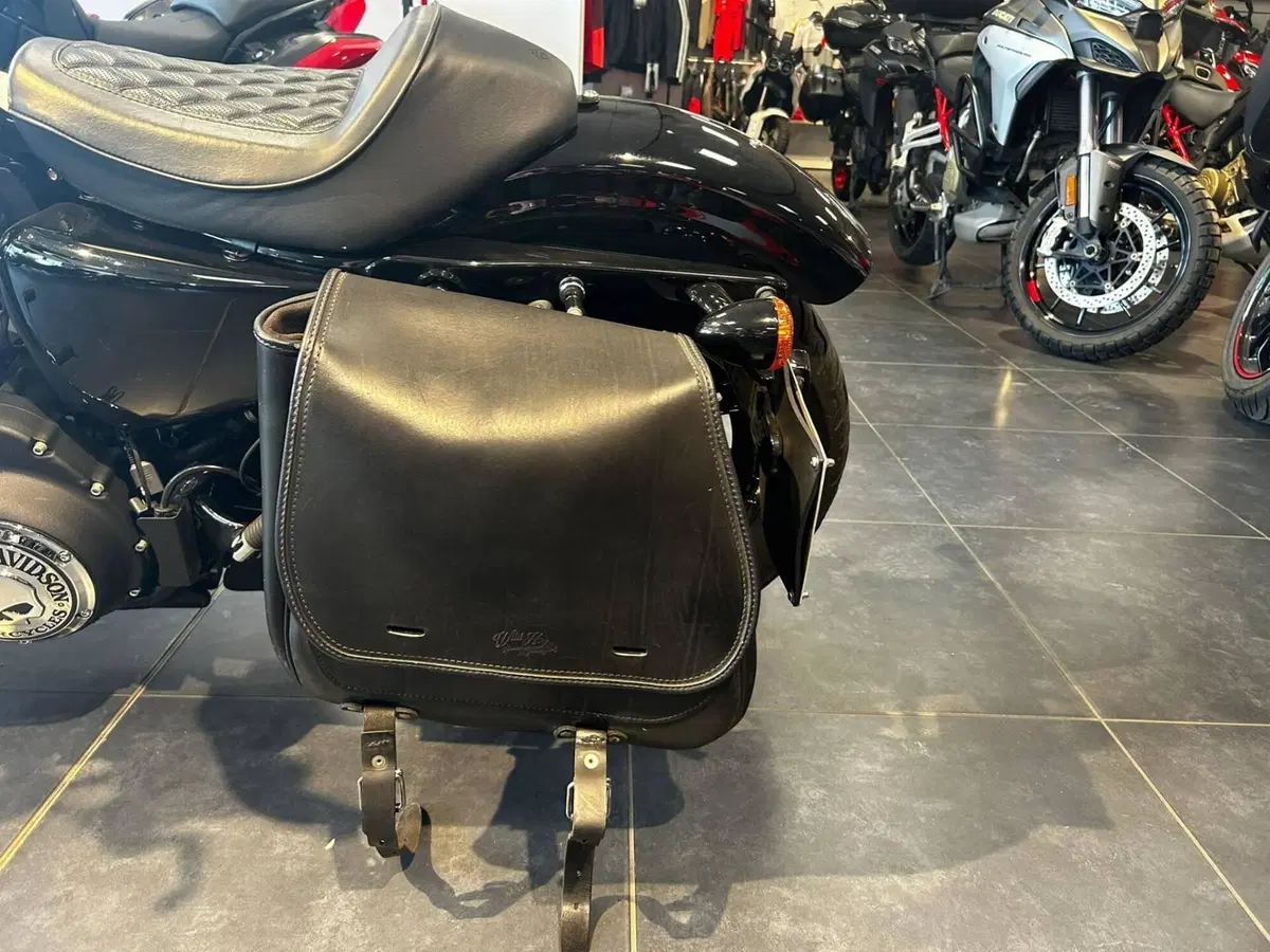 Harley-Davidson XL 1200 X Forty-Eight (2018) (8)