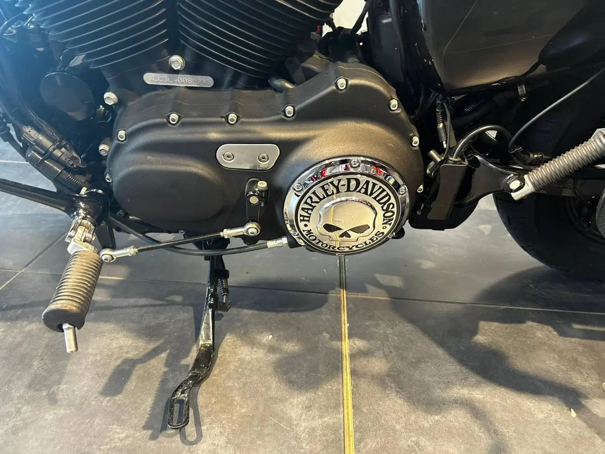 Harley-Davidson XL 1200 X Forty-Eight (2018) (9)