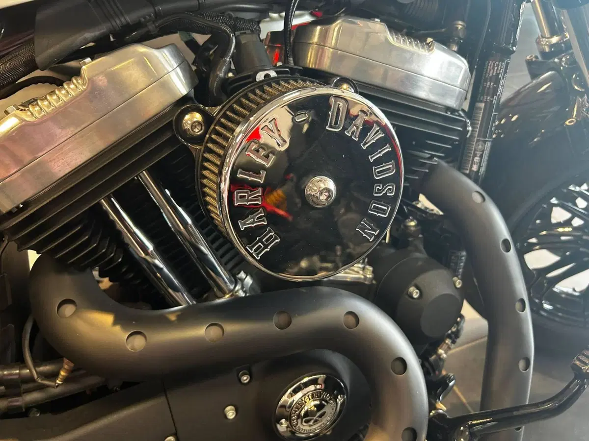 Harley-Davidson XL 1200 X Forty-Eight (2018) (10)