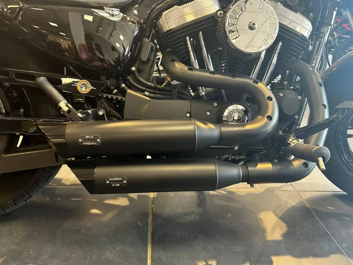 Harley-Davidson XL 1200 X Forty-Eight (2018) (11)