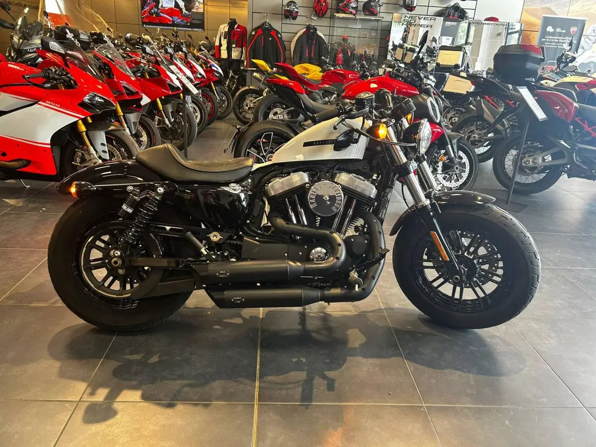 Harley-Davidson XL 1200 X Forty-Eight (2018) (2)
