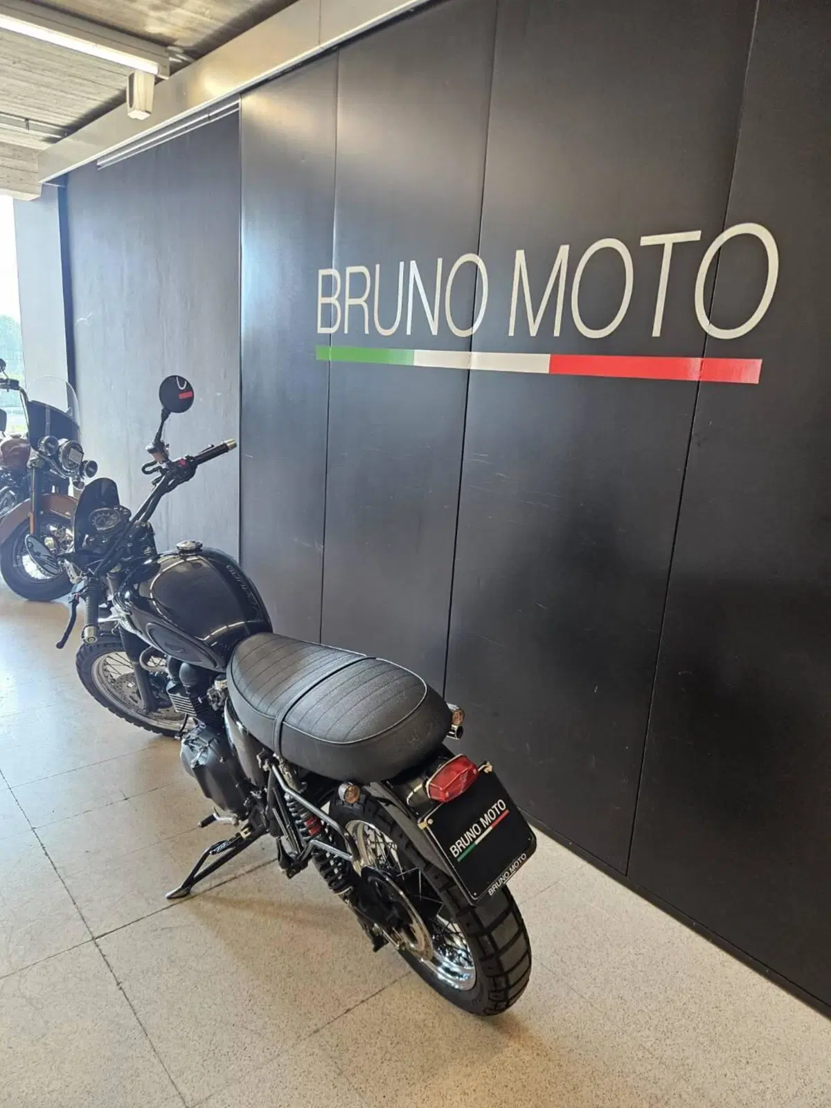 Triumph Scrambler (2006 - 17) (5)
