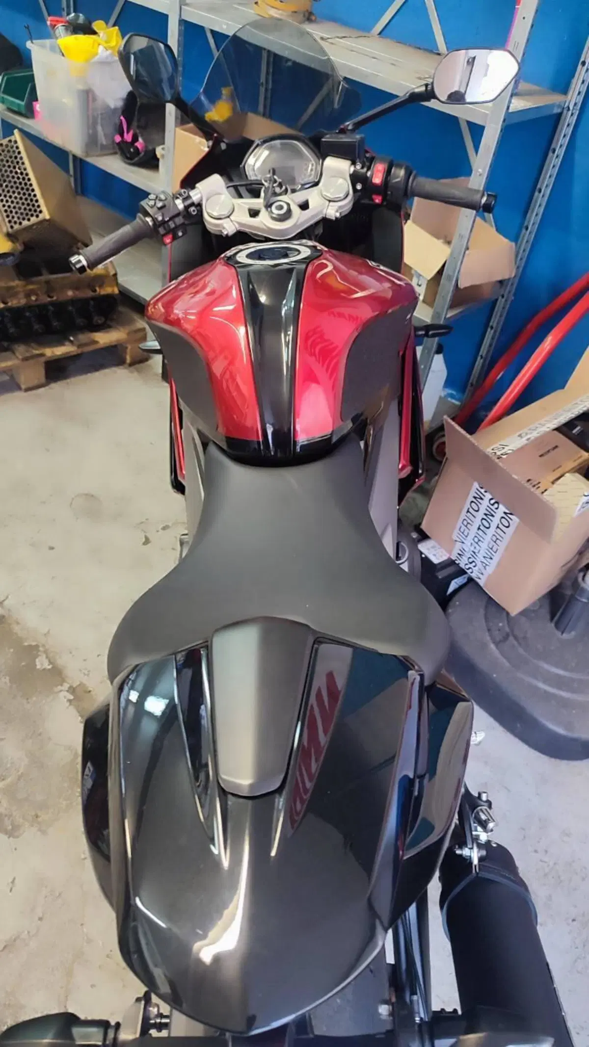 Triumph Daytona 660 (2024 - 26)