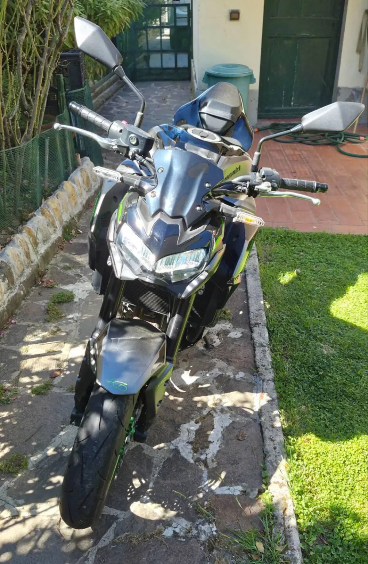 Kawasaki Z 900 (2021 - 24) (3)