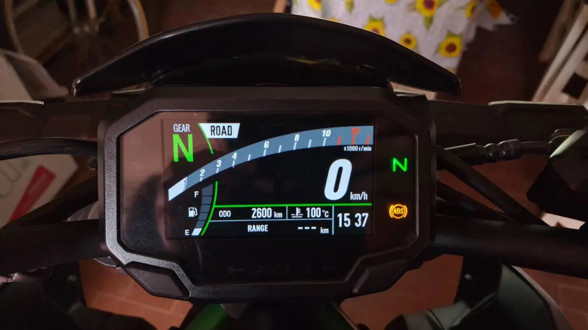 Kawasaki Z 900 (2021 - 24) (4)