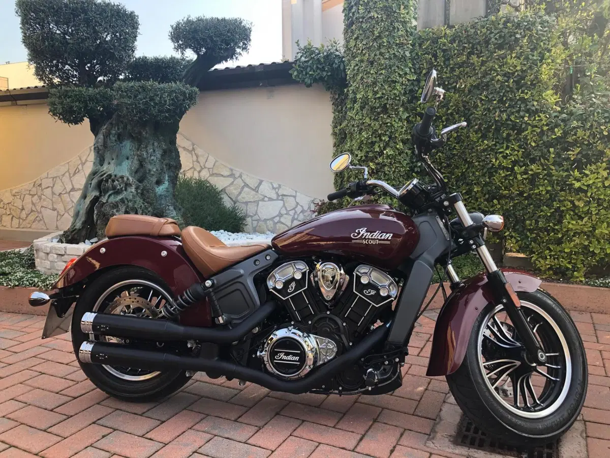 Indian Scout 1133 (2017 - 19) (2)