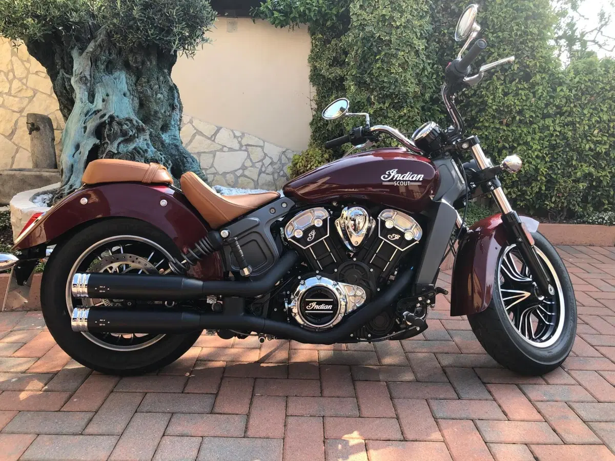 Indian Scout 1133 (2017 - 19) (3)