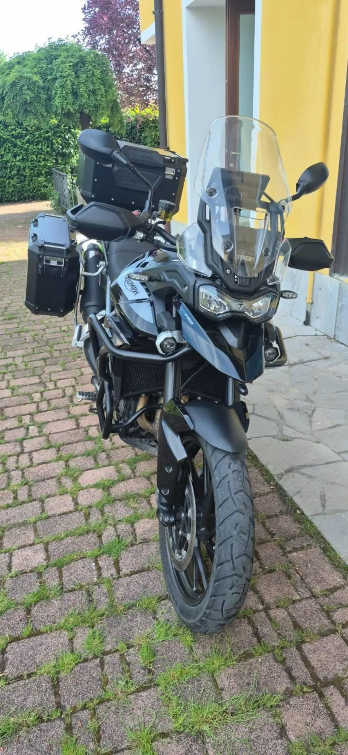 Triumph Tiger 900 GT Pro (2020 - 23) (3)