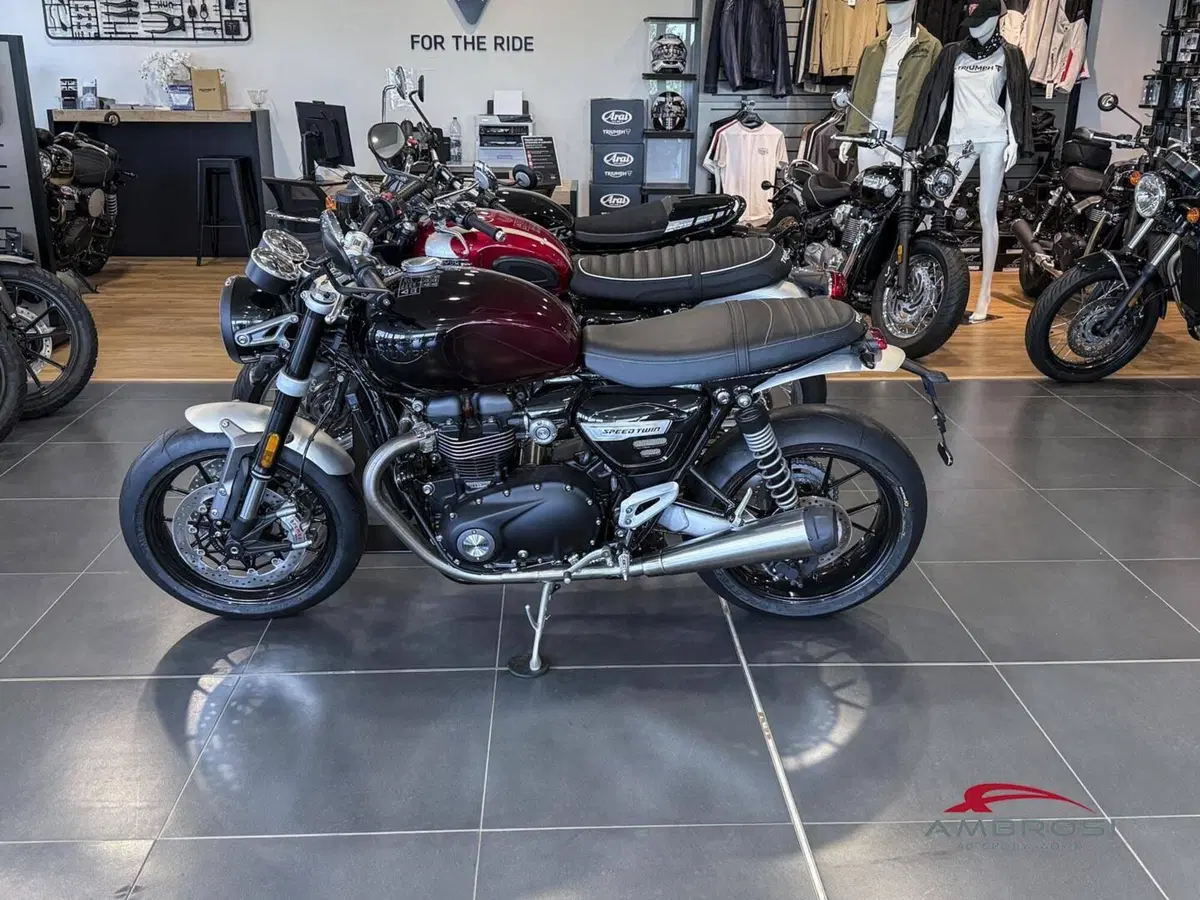 Triumph Speed Twin 1200 (2025 - 26) (2)