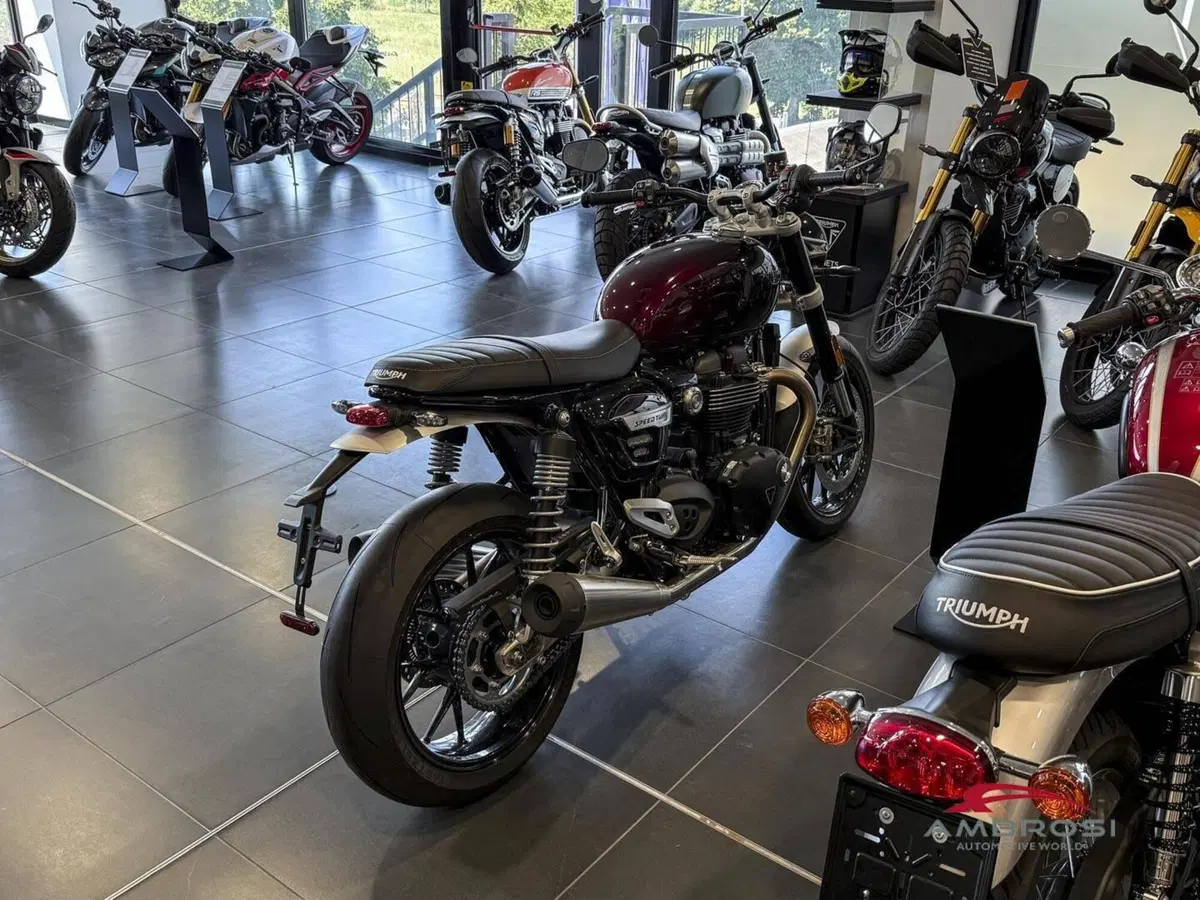 Triumph Speed Twin 1200 (2025 - 26) (4)