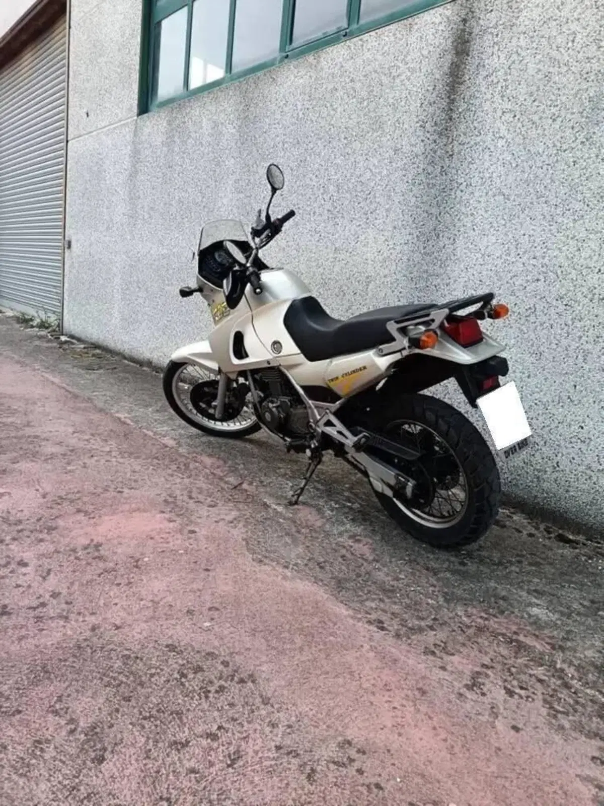 Kawasaki KLE 500 (2001 - 04) (6)