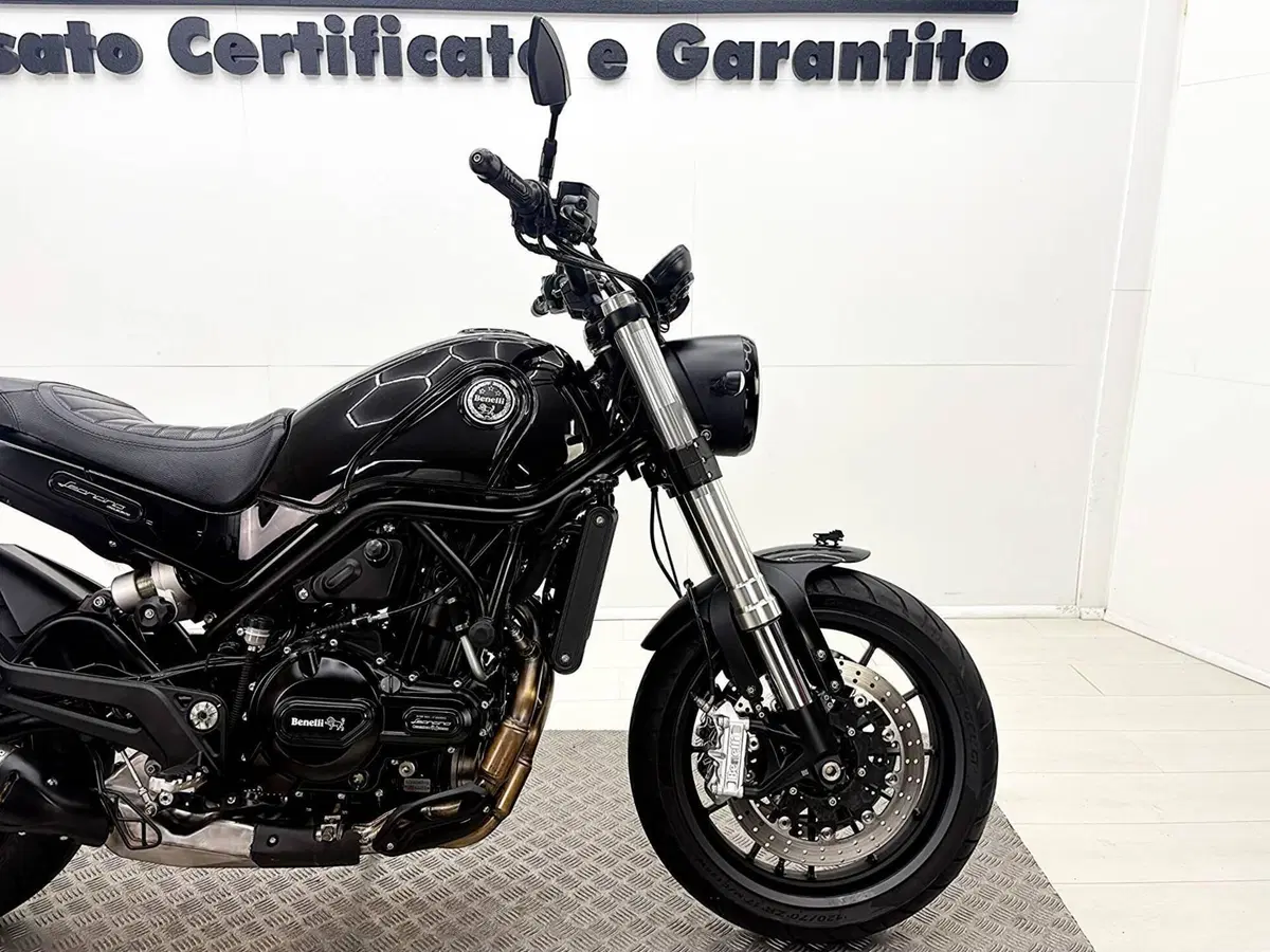 Benelli Leoncino 500 (2021 - 25) (9)