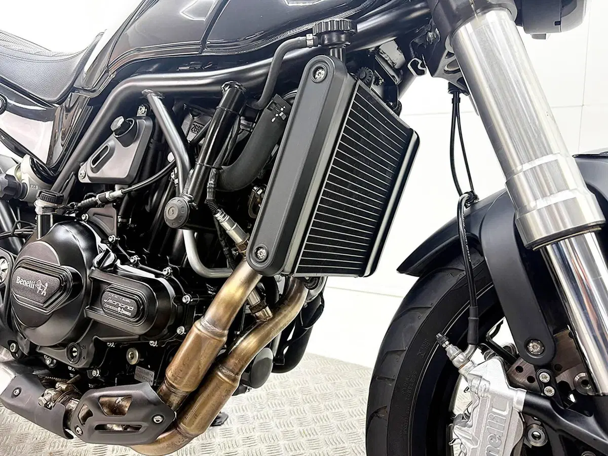 Benelli Leoncino 500 (2021 - 25) (10)