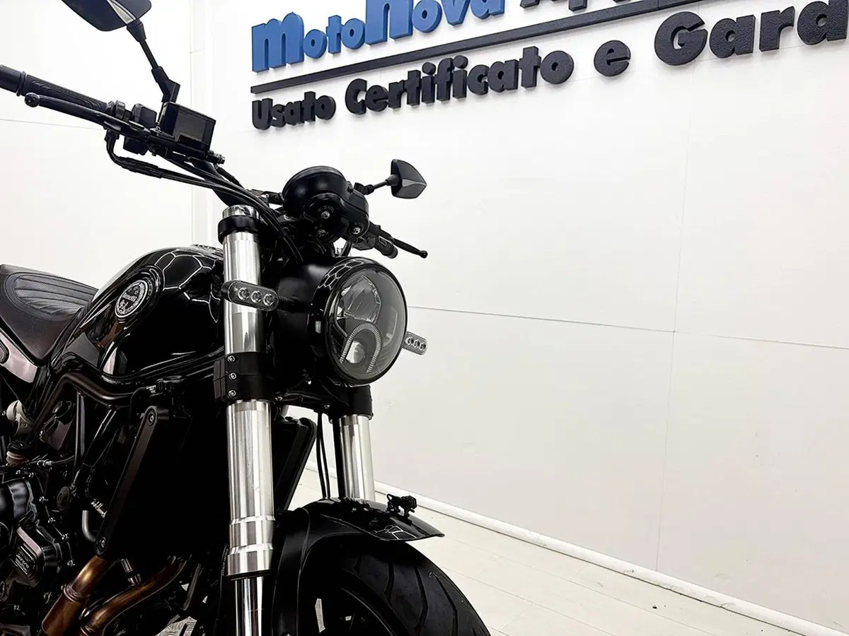 Benelli Leoncino 500 (2021 - 25) (11)