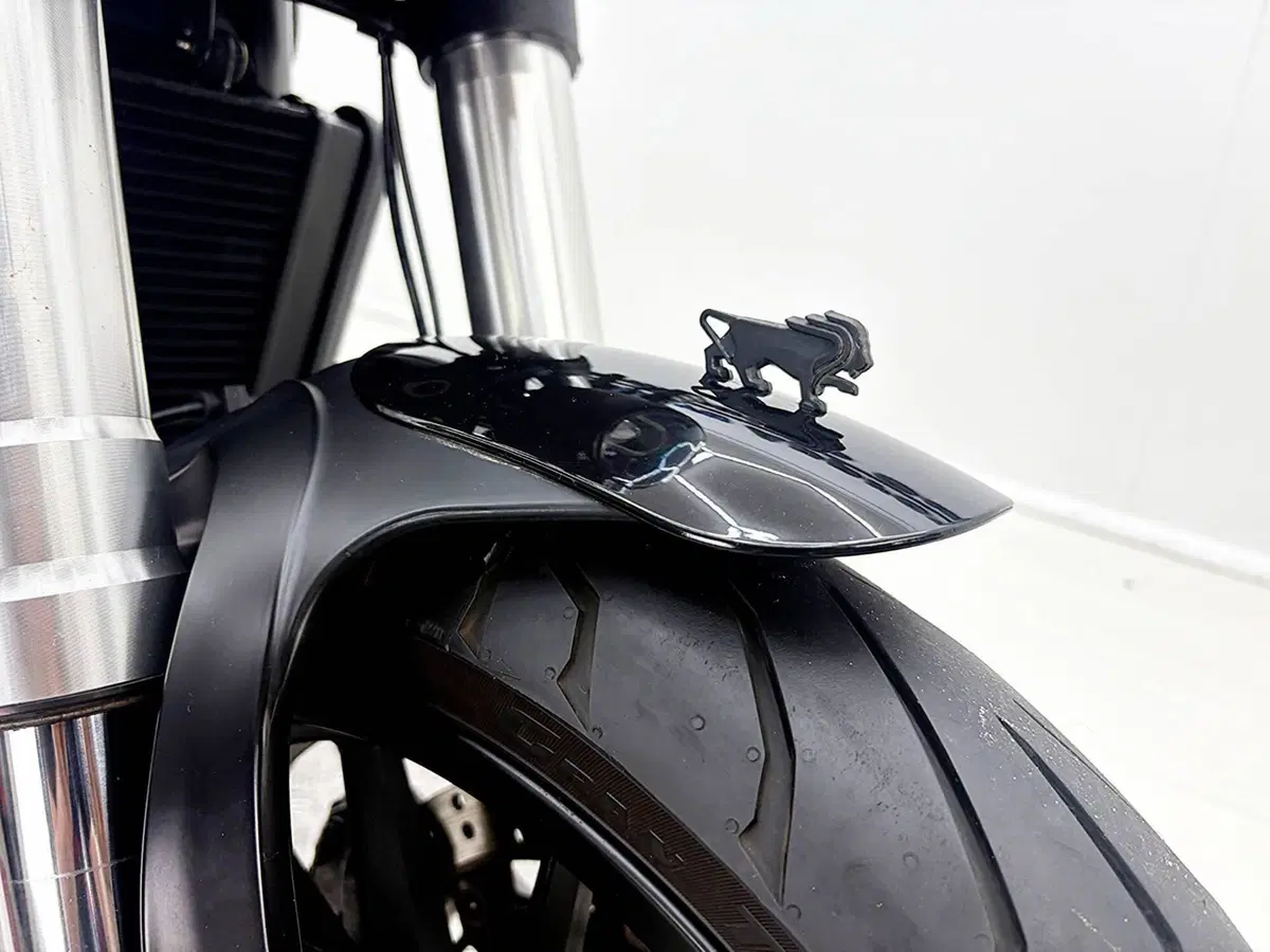 Benelli Leoncino 500 (2021 - 25) (12)