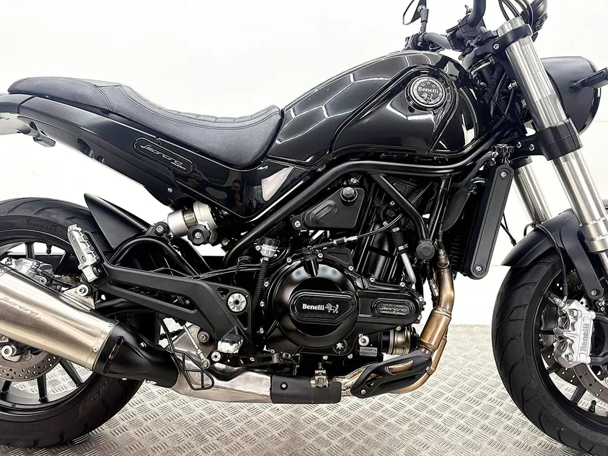 Benelli Leoncino 500 (2021 - 25) (8)