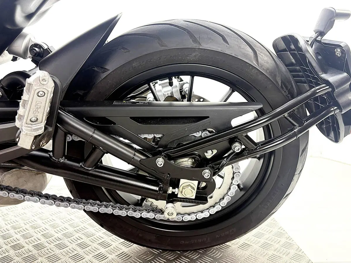 Benelli Leoncino 500 (2021 - 25) (19)