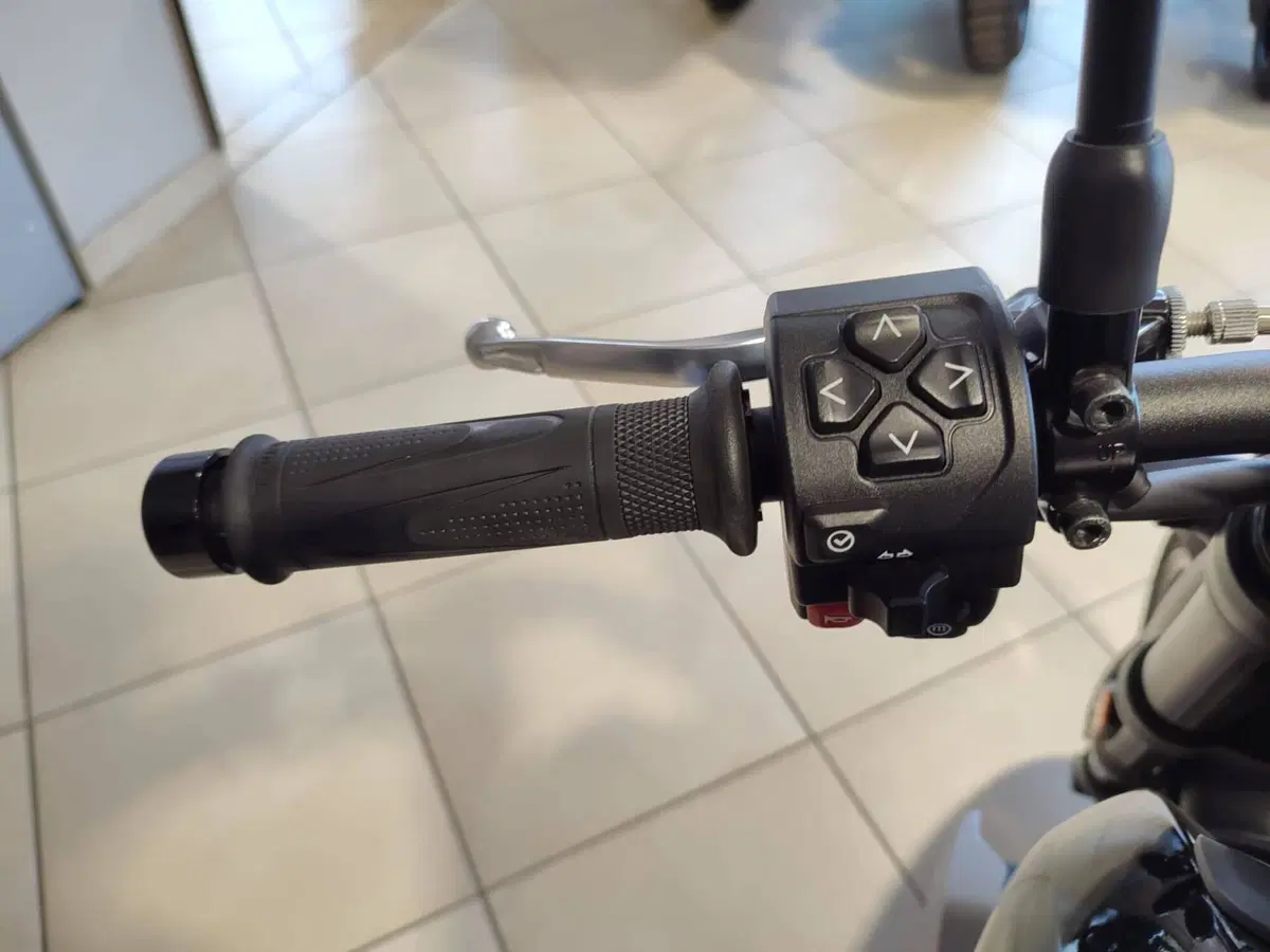 Triumph Trident 660 (2021 - 24) (10)