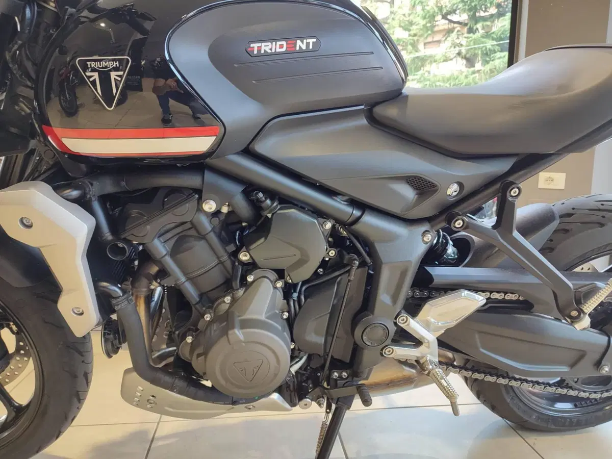 Triumph Trident 660 (2021 - 24) (9)