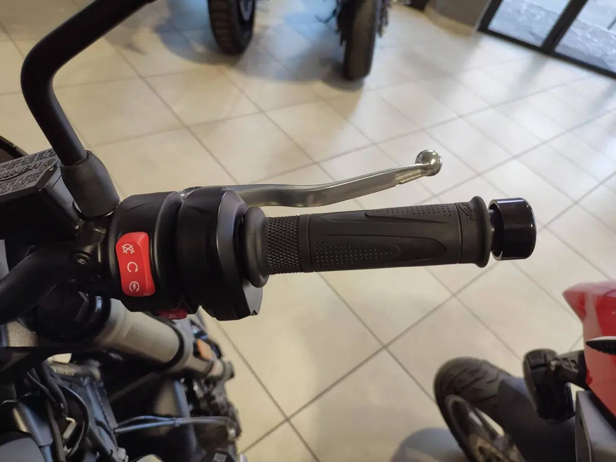 Triumph Trident 660 (2021 - 24) (11)