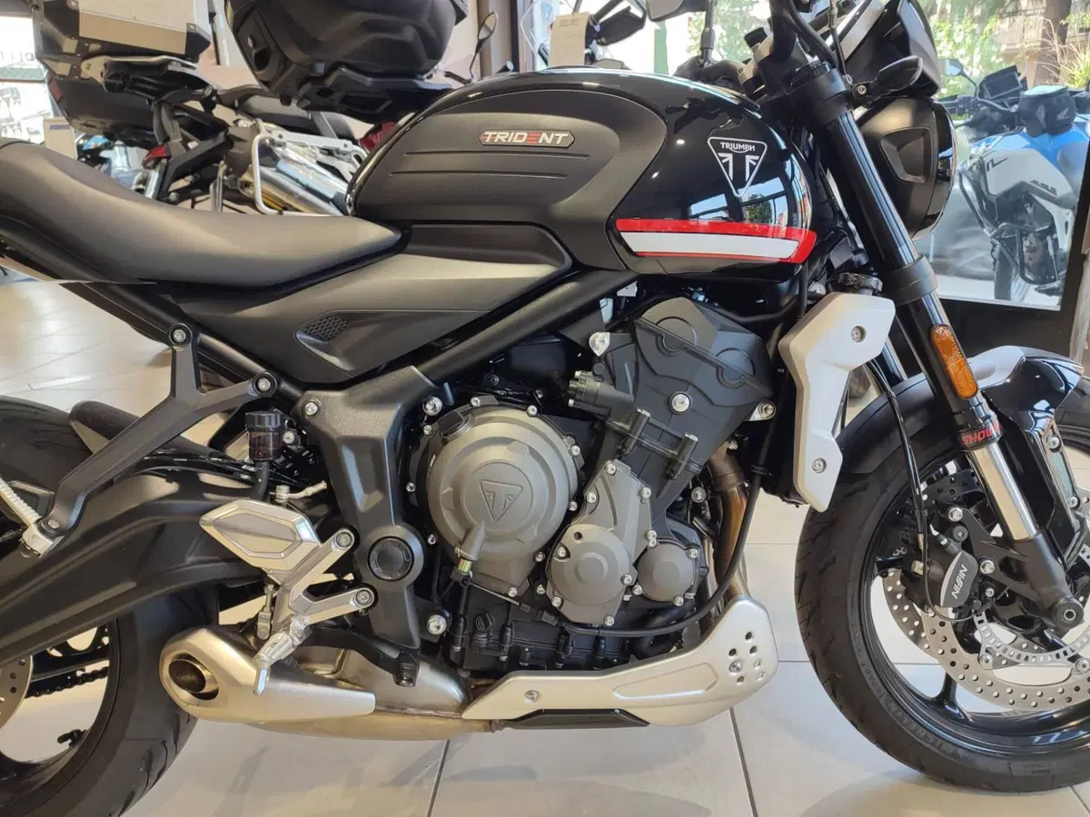 Triumph Trident 660 (2021 - 24) (15)